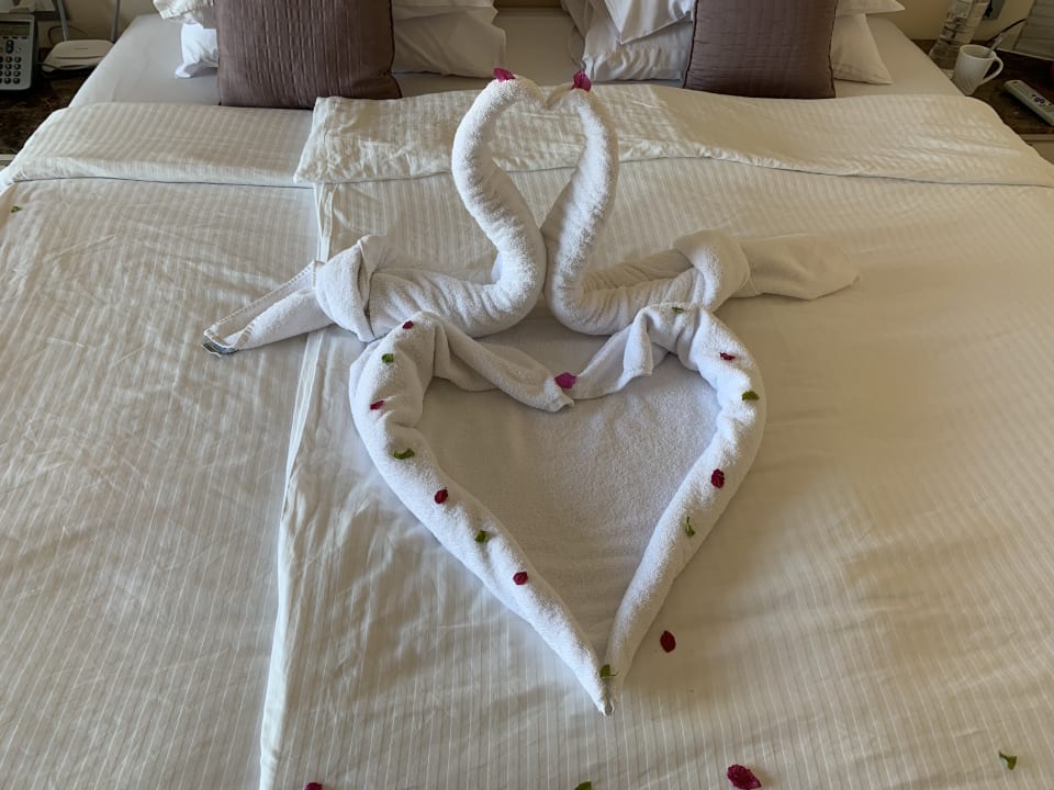 Zimmer Tropitel Sahl Hasheesh