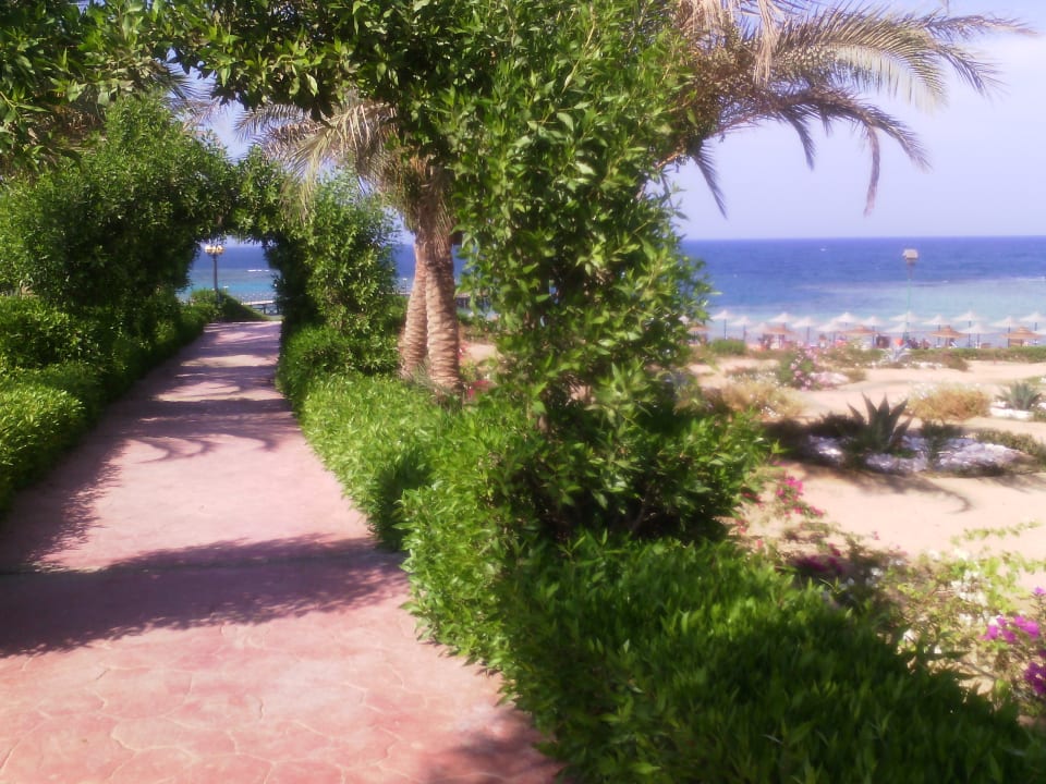 Gartenanlage Fantazia Resort Marsa Alam