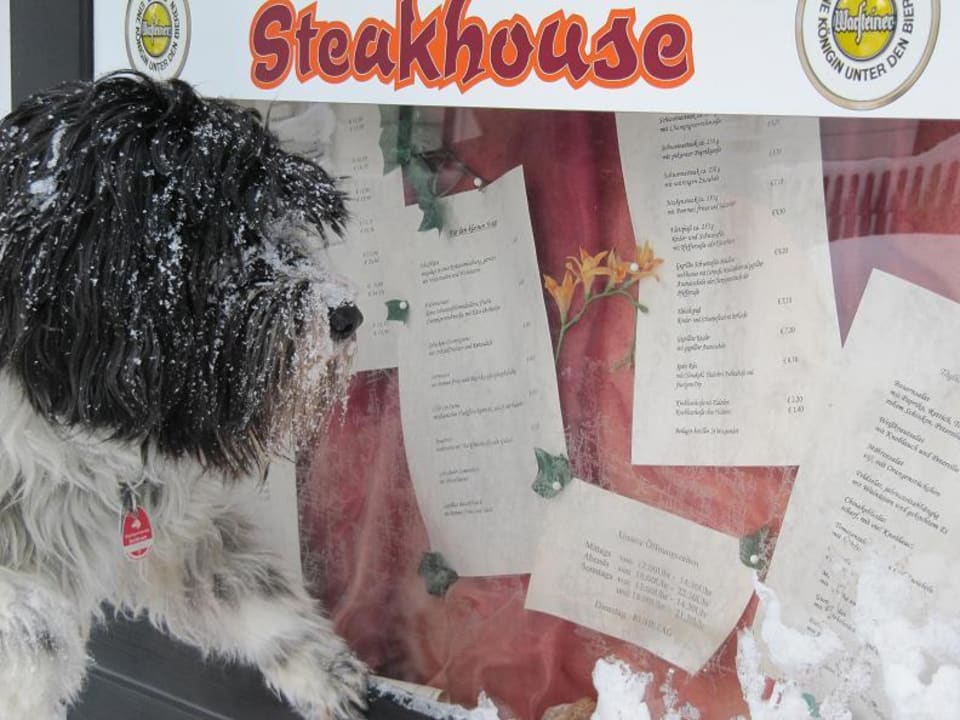 Yoshi wählt aus! Hotel Zellerfelder Hof