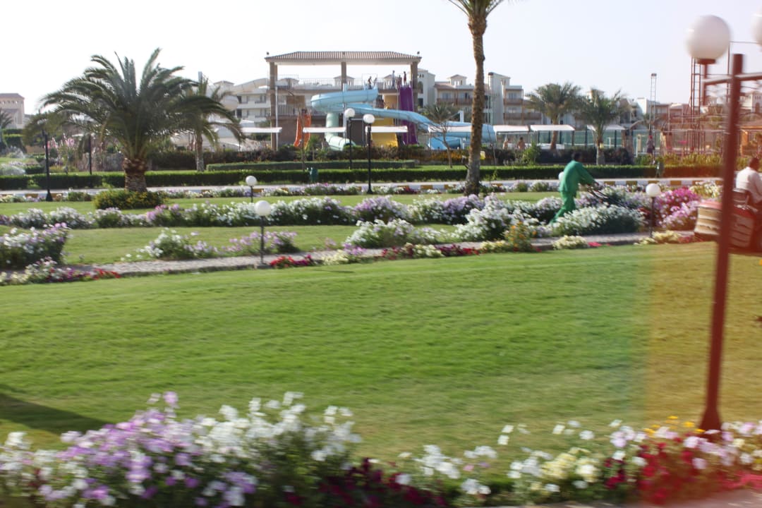 Teren hotelu Desert Rose