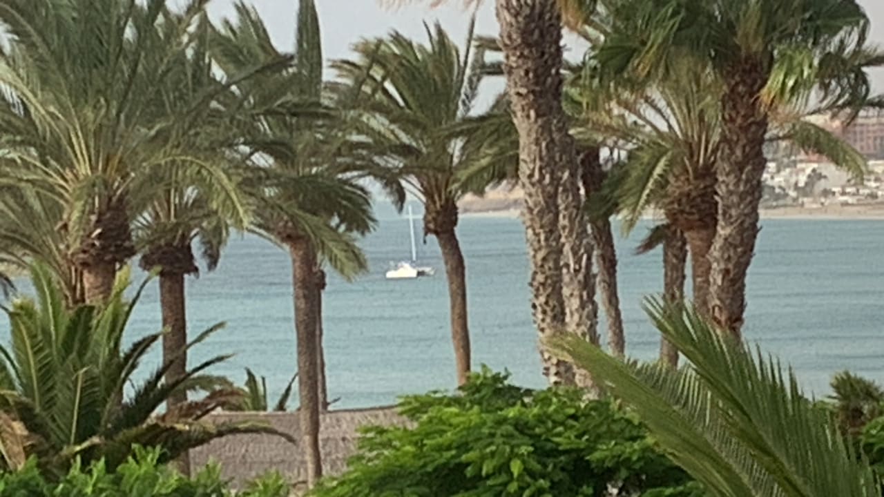 Ausblick SBH Costa Calma Beach Resort