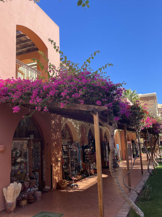 Außenansicht Jaz Makadi Oasis Resort