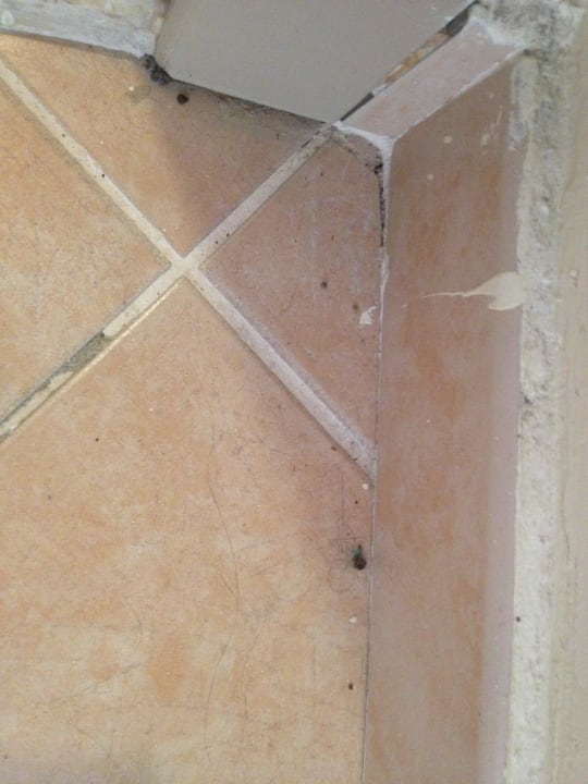 Schmutz lag eine Woche! Selectum Family Resort Side