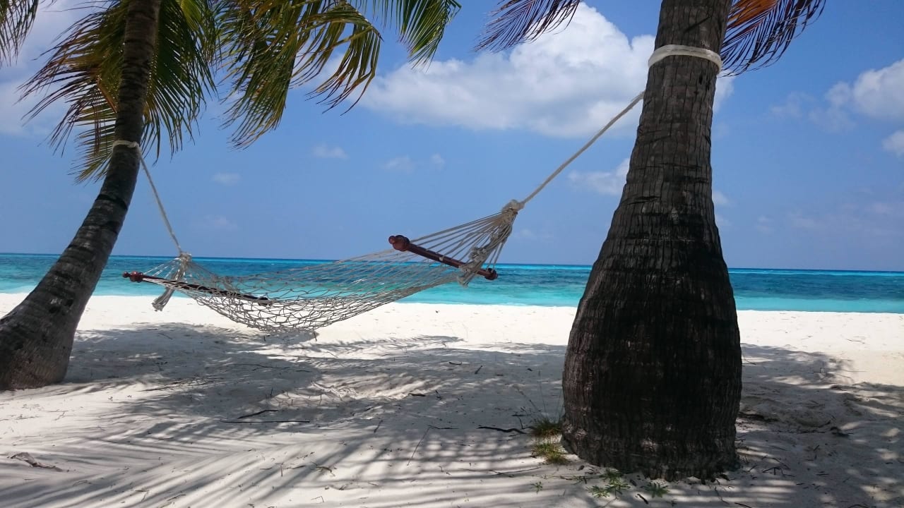 Hängematte am westlichen Teil Kuredu Island Resort & Spa