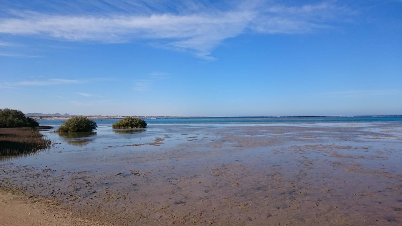 Blick auf Lagune Swisstouch Oriental Resort Marsa Alam