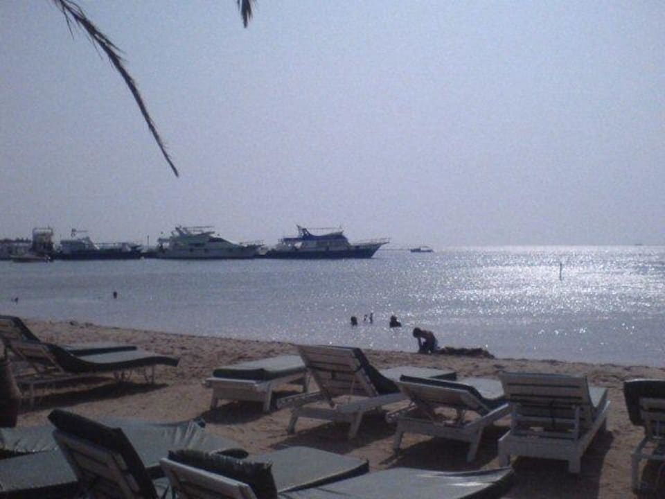 Sonnenaufgang Giftun Azur Resort