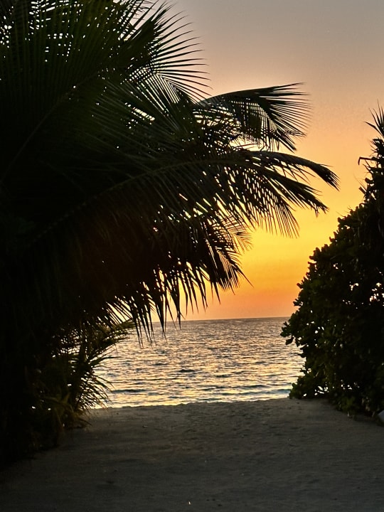 Ausblick Jawakara Islands Maldives