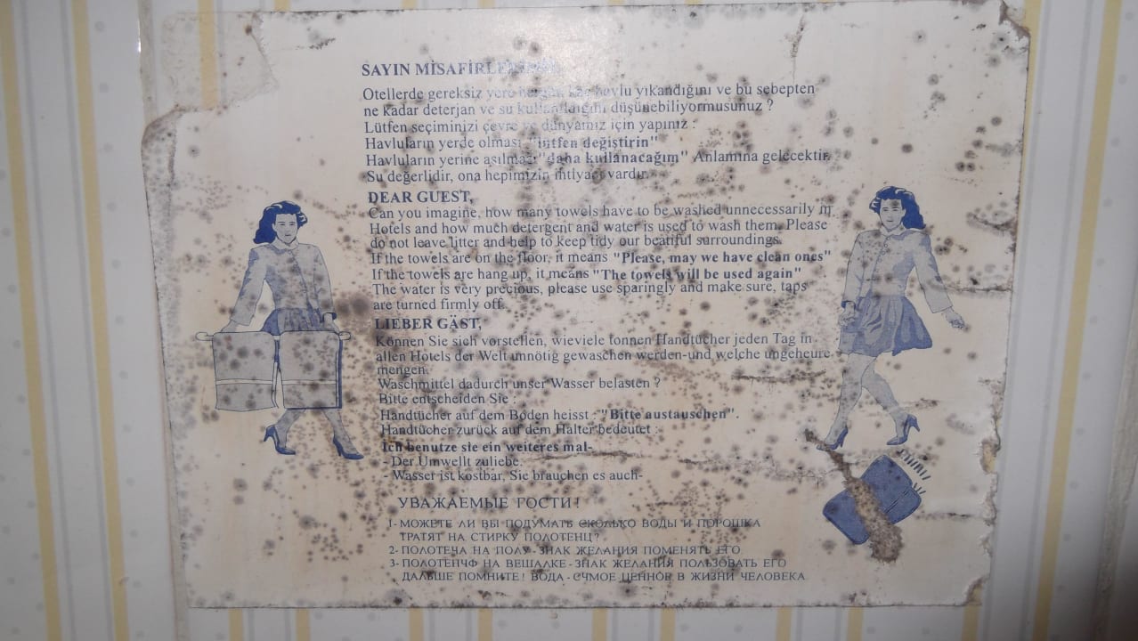 Bad. Schimmel überall Hotel Kleopatra Alis