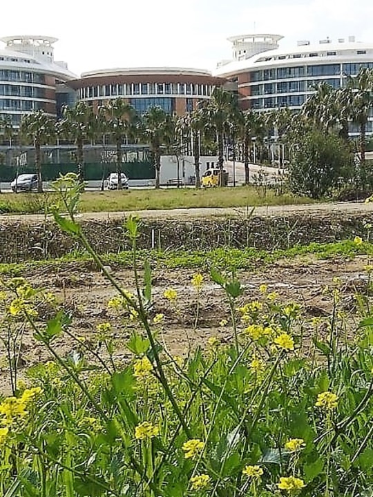 Außenansicht Hotel Baia Lara