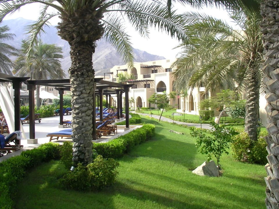 Wiese zwischen Pool und Zimmer Miramar Al Aqah Beach Resort
