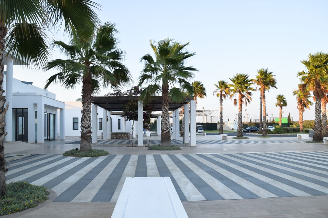 Sonstiges Atlantica Plimmiri