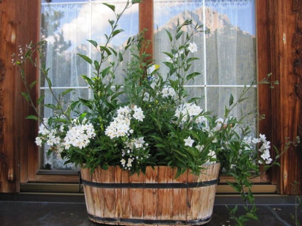 Sommerimpression Landsitz Bichlhof