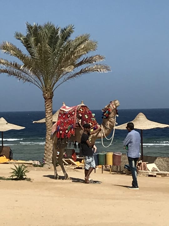 Strand Three Corners Sea Beach Resort