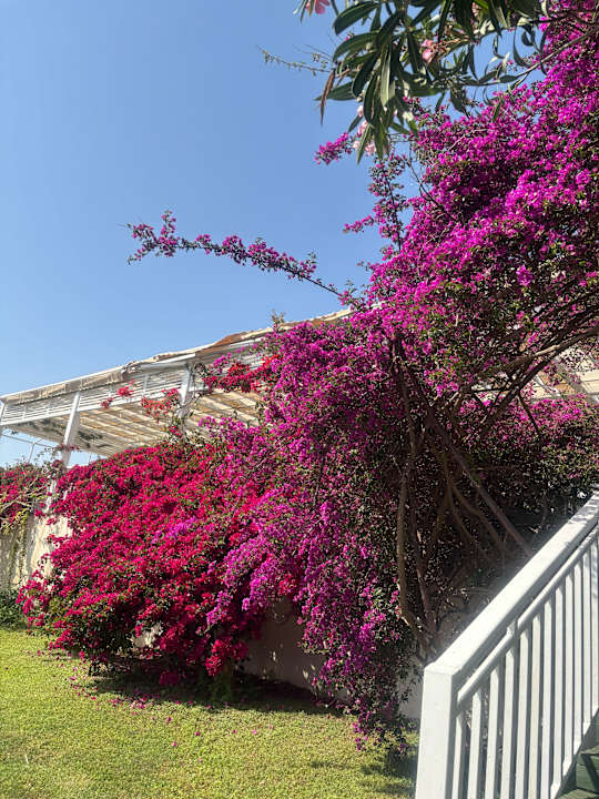 Sonstiges Can Garden Resort