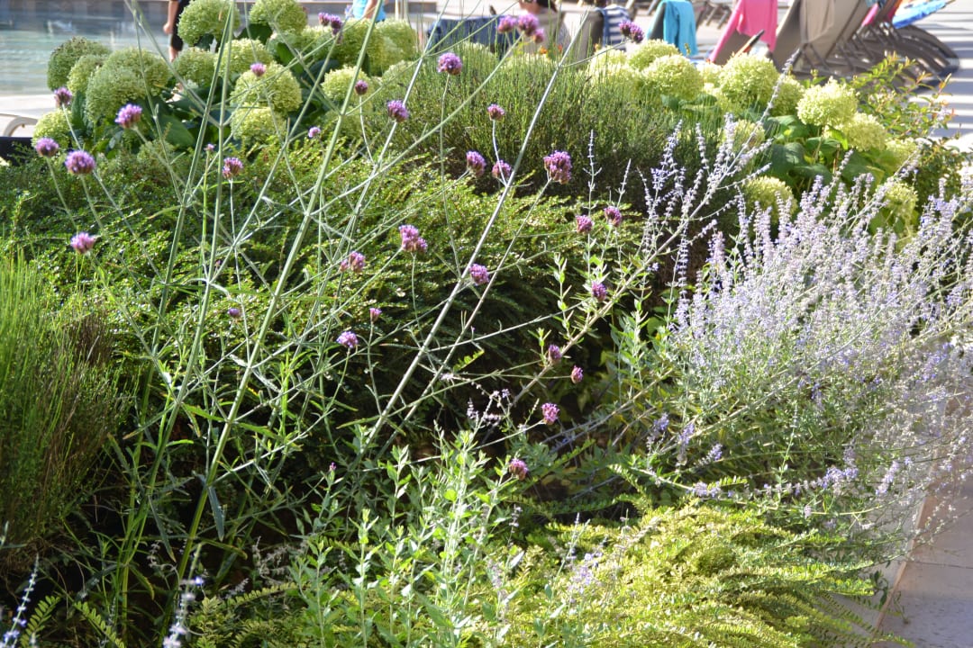 Gartenanlage HVD Clubhotel Miramar
