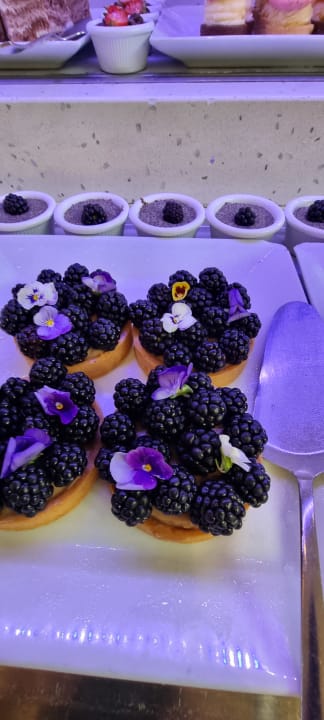 Gastro Liberty Lykia Adults Only