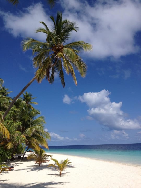 Filitheyo Island Resort Filitheyo Island Resort