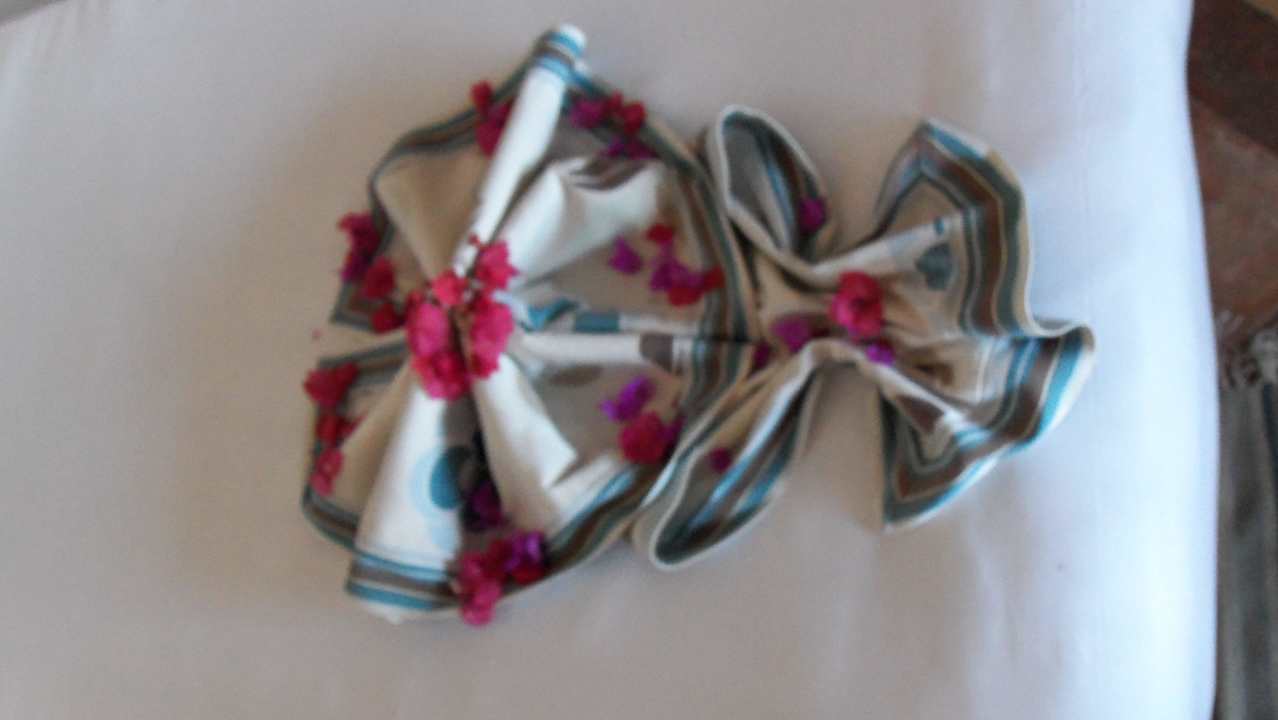 Deko Pickalbatros Citadel Resort