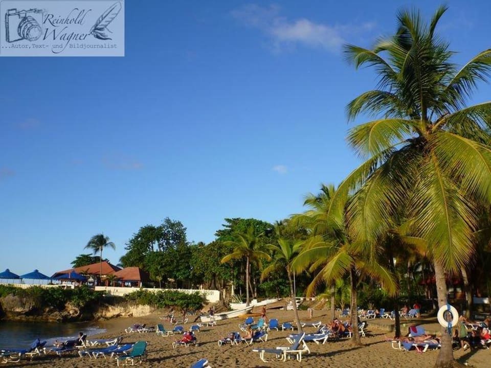 "Mit viel Palmenschatten" Hotel Casa Marina Reef (Sosua) • HolidayCheck