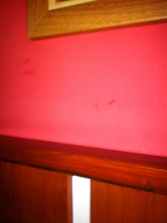 Flecken an der Wand Hotel Atlas Sport