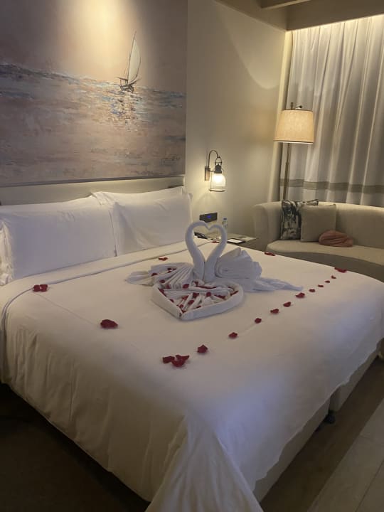 Zimmer Saadiyat Rotana Resort &  Villas