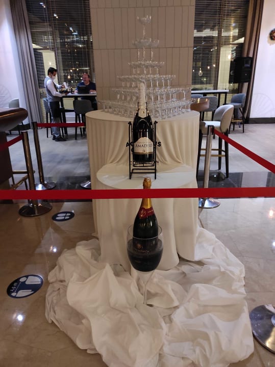 Gastro Acanthus Cennet Barut Collection