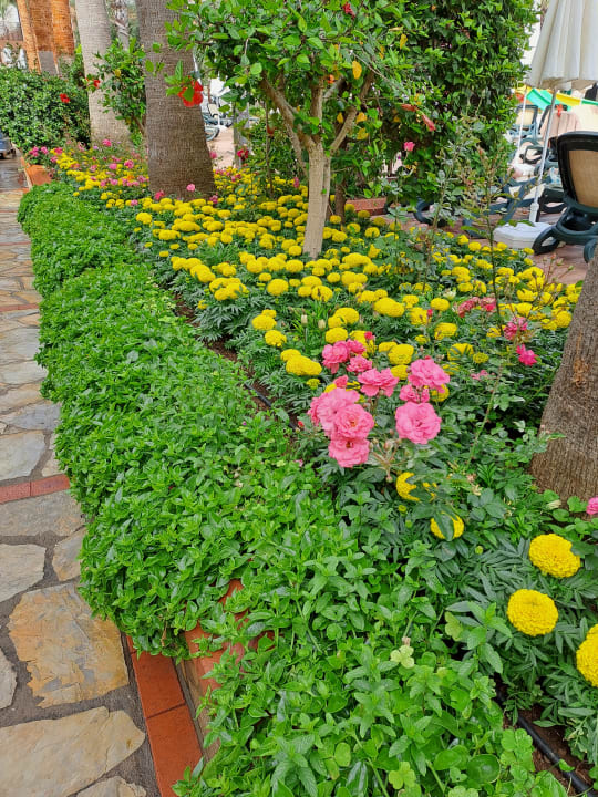 Gartenanlage My Home Resort