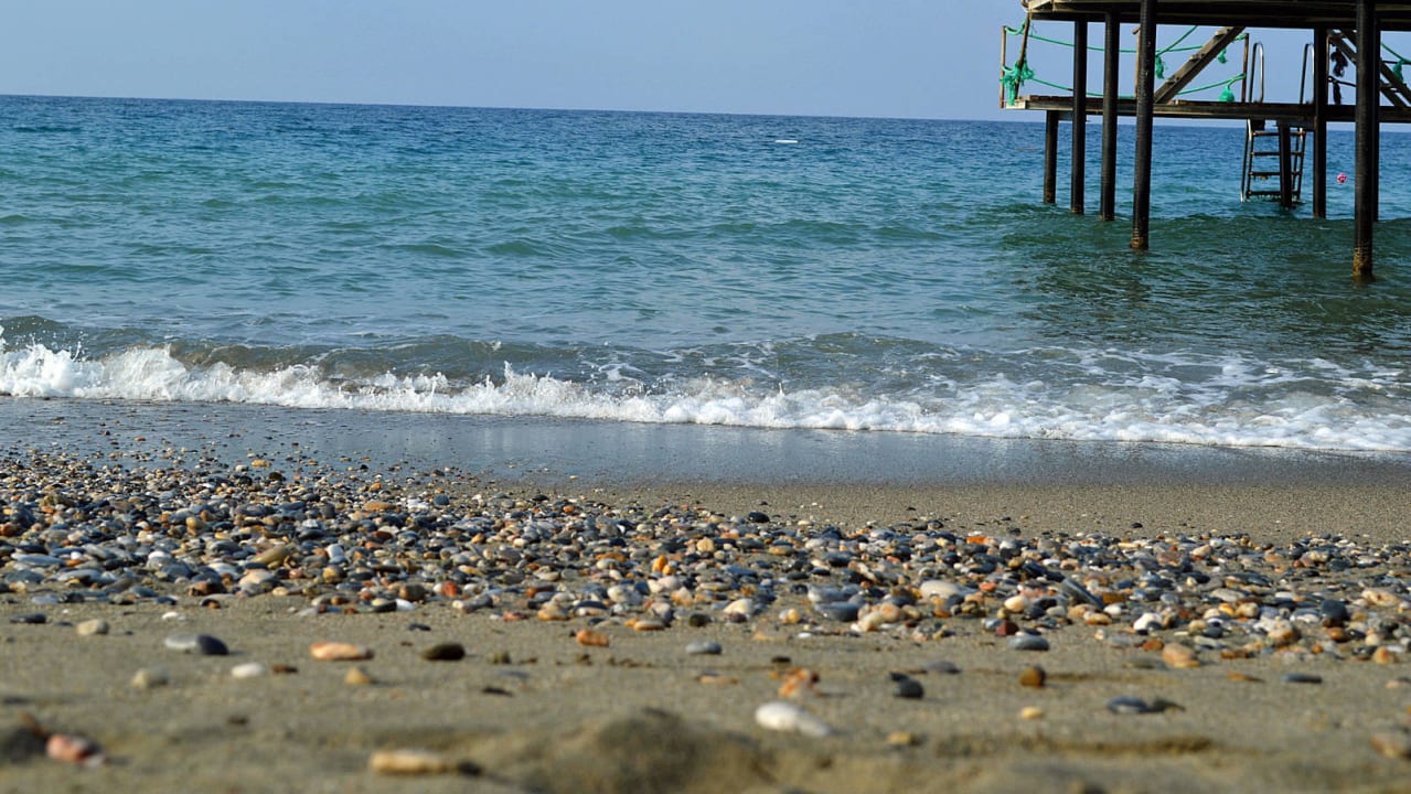 Am Strand Club Turtas Beach Hotel