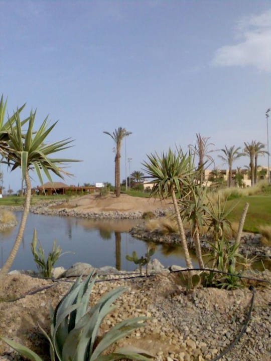 Garten Steigenberger ALDAU Beach Hotel