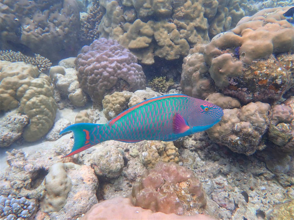 Sport & Freizeit Filitheyo Island Resort