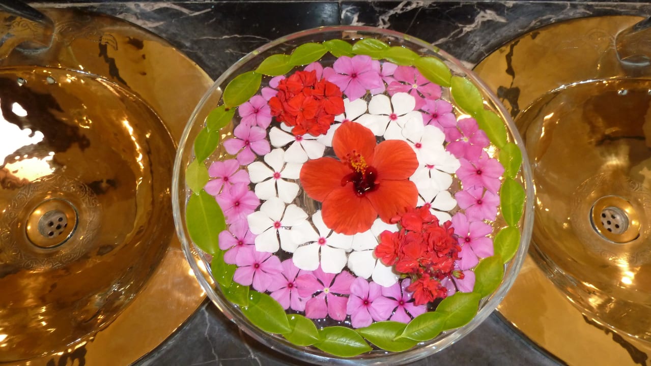 Dekoration WC-Waschbecken Steigenberger Coraya Beach - Adults only