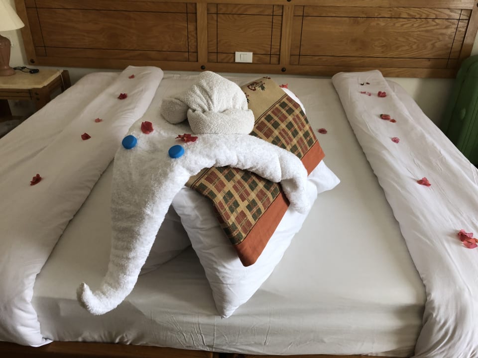 Zimmer Three Corners Fayrouz Plaza Beach Resort