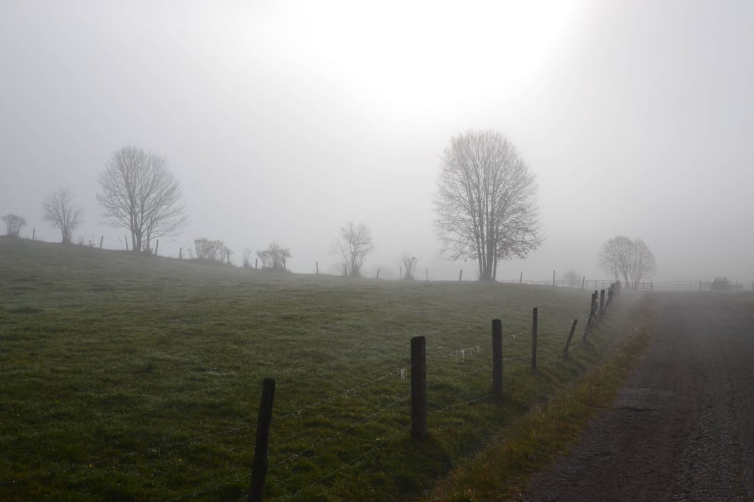 Herbstimpression Gästehaus Bacher