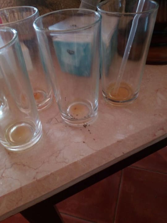 Sonstiges Three Corners Sea Beach Resort