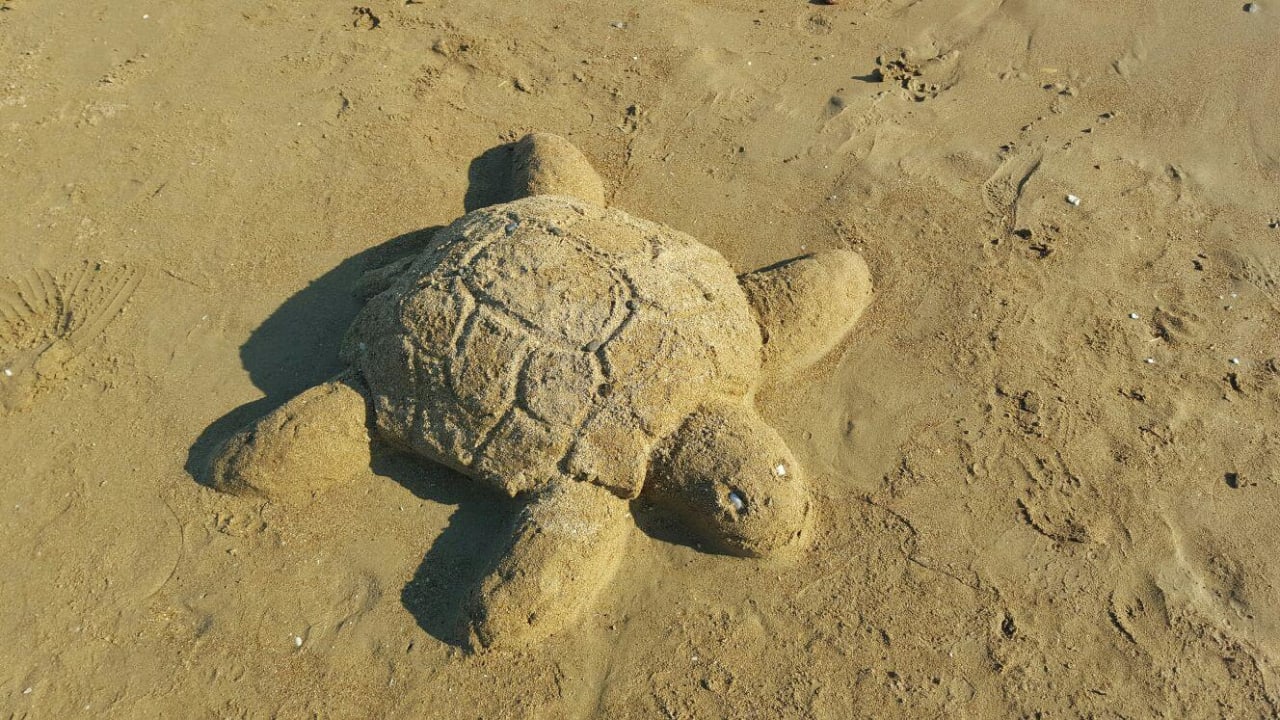 Am Strand entdeckt  Aydinbey Kings Palace & Spa