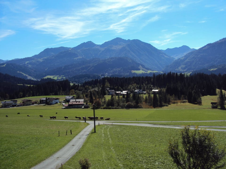 Wildseeloderblick Ferienwohnungen Stallerhof