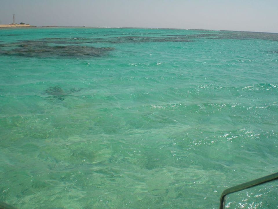 Vom Steg Hotel Sheraton Soma Bay Resort