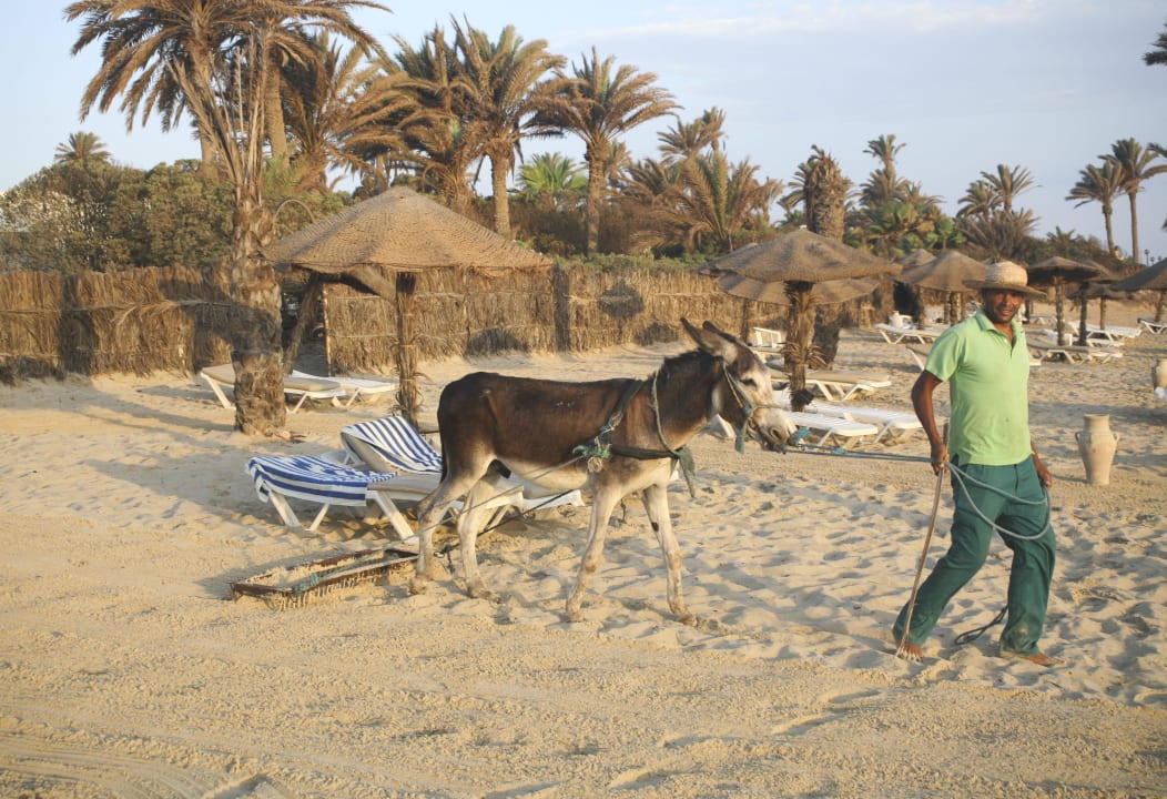 Standreinigung Hotel Sangho Club Zarzis
