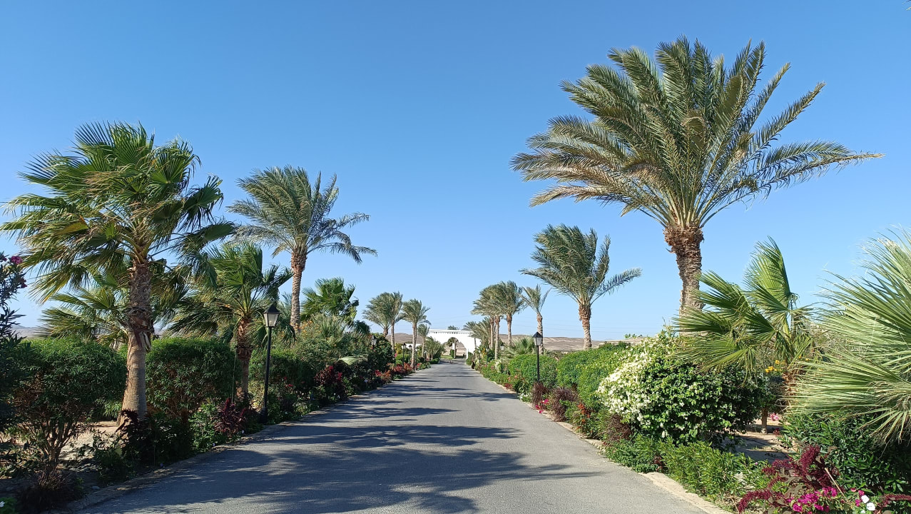Gartenanlage Hotel Gorgonia Beach Resort
