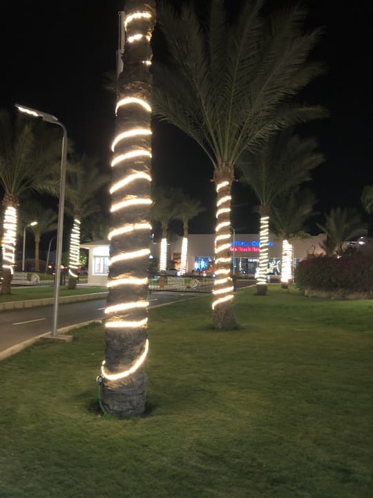 Gartenanlage Three Corners Sea Beach Resort