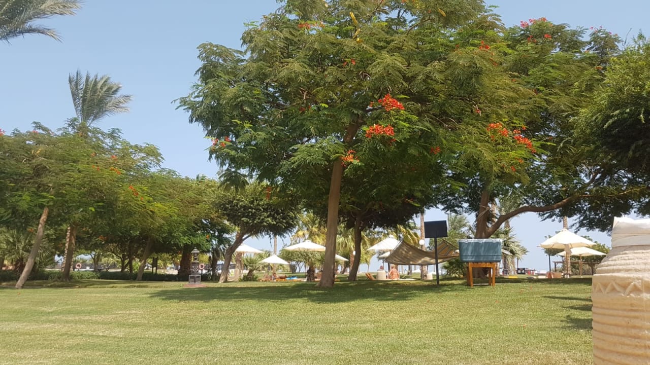 Gartenanlage Steigenberger ALDAU Beach Hotel