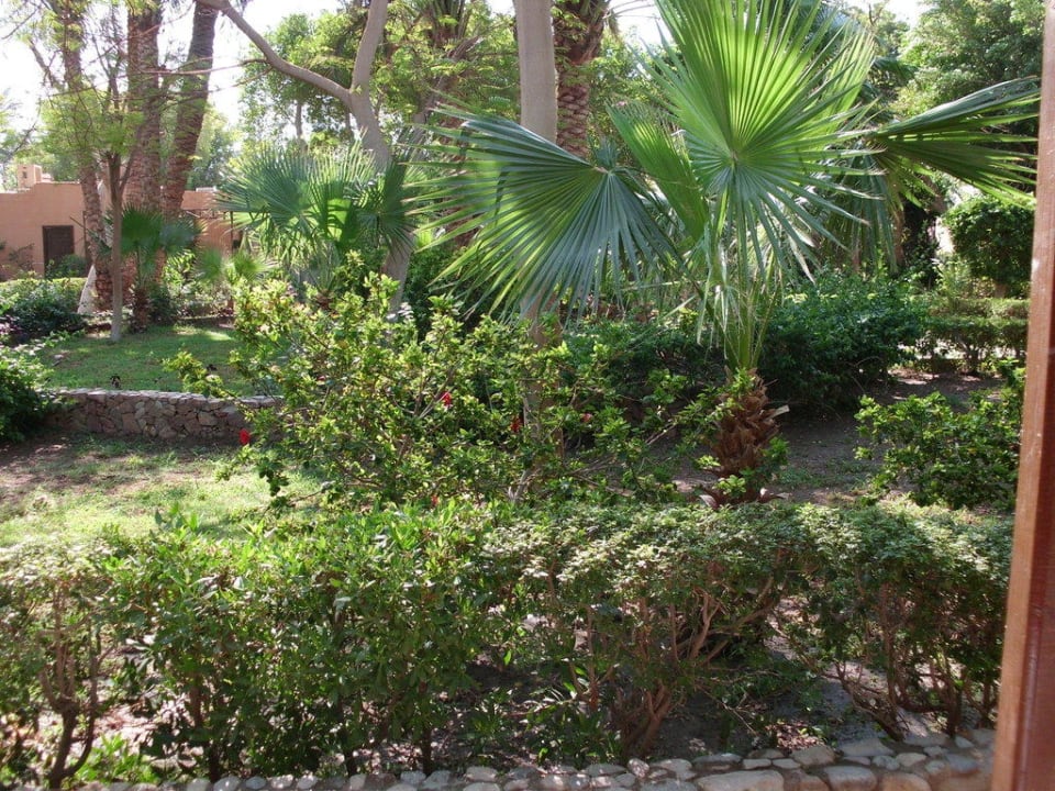 Ausblick vom Zimmer auf die Gartenanlage Giftun Azur Resort