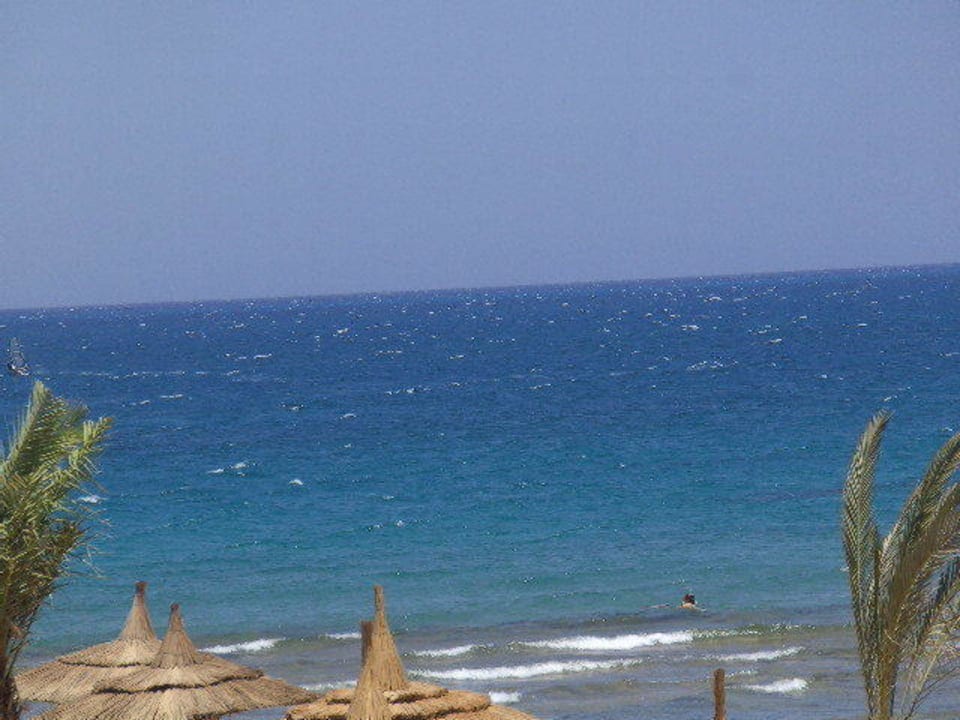 Ausblick vom Restaurant Beach Albatros Resort