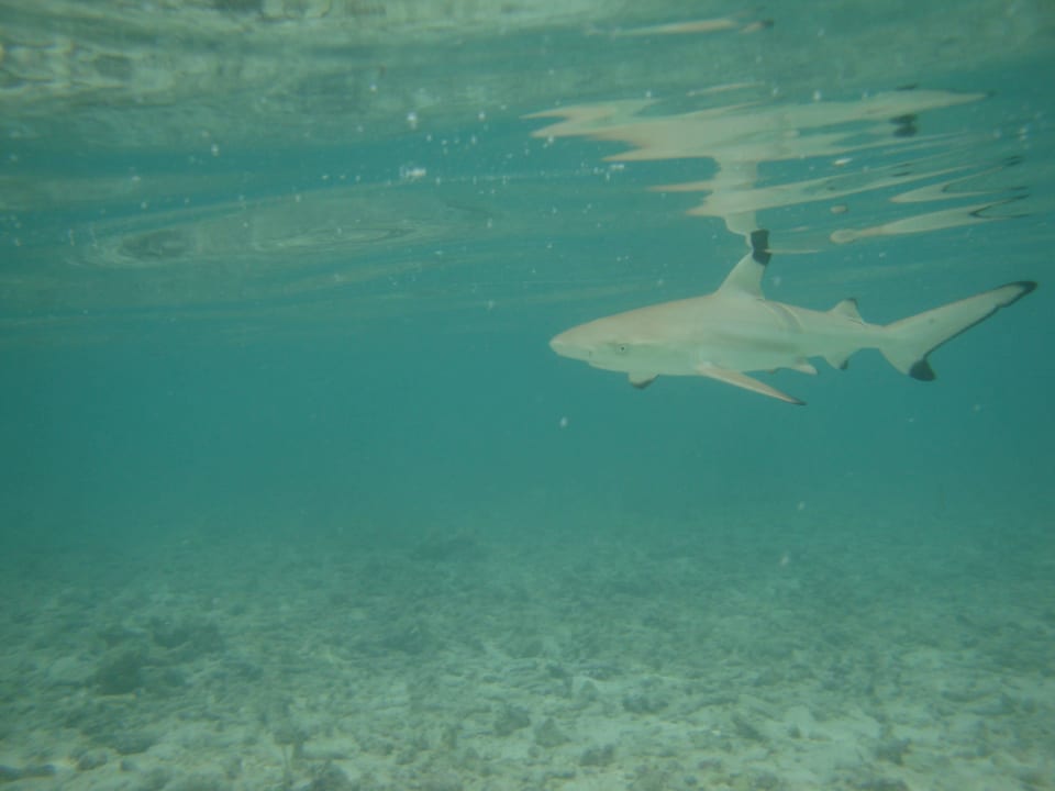 Baby-Hai Adaaran Select Hudhuran Fushi - Premium All Inclusive