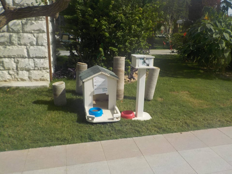 Oktober 2015 Belek Beach Resort Hotel