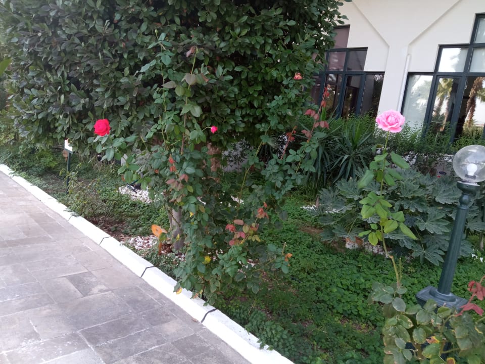 Gartenanlage Süral Saray Hotel
