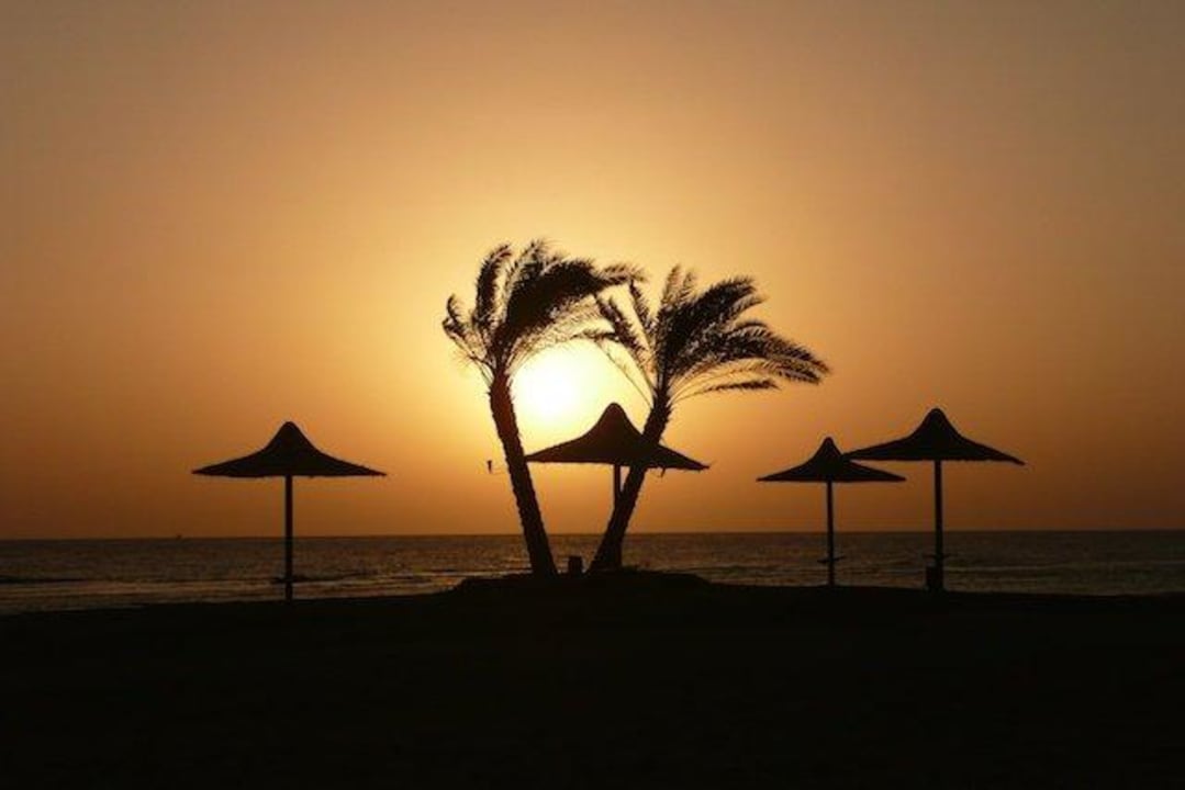 Sonnenaufgang Malikia Resort Abu Dabbab