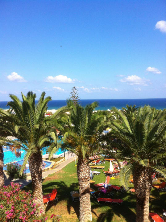 Garten mit Pool TUI SUNEO Chrissi Amoudia