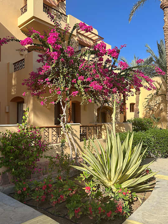 Gartenanlage Steigenberger Coraya Beach - Adults only