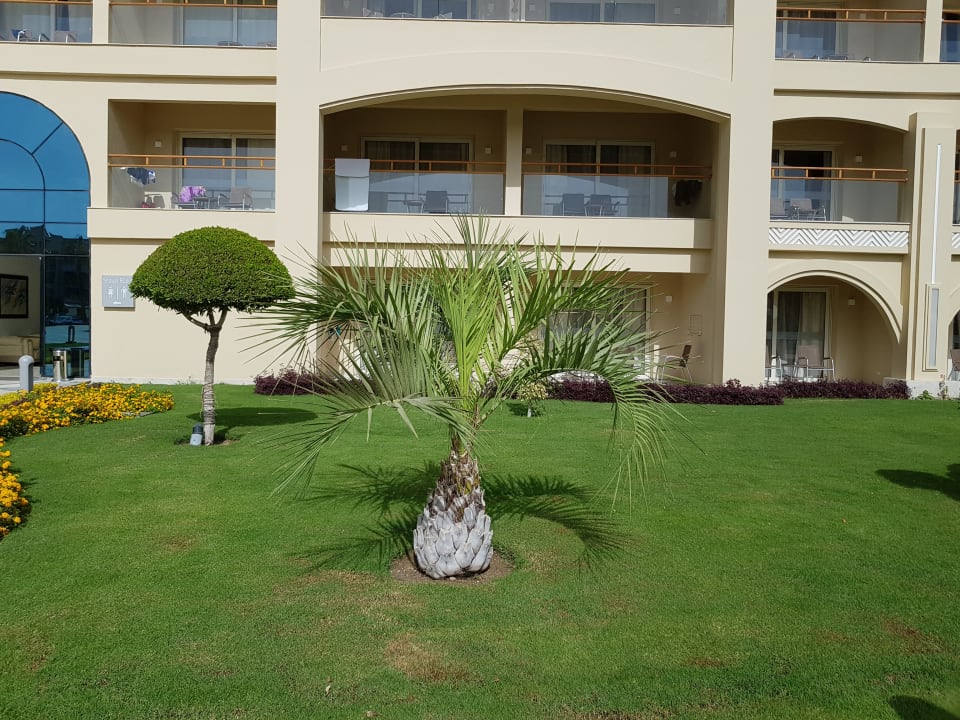Gartenanlage Pickalbatros White Beach Resort - Hurghada